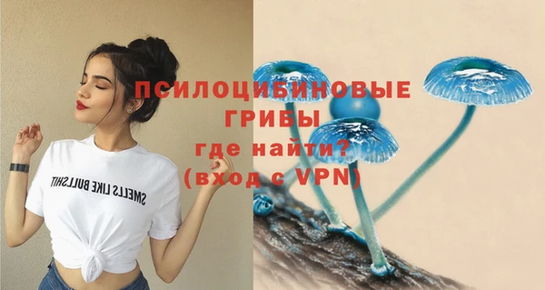 ГАЛЛЮЦИНОГЕННЫЕ ГРИБЫ Арсеньев