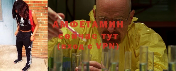 ГАЛЛЮЦИНОГЕННЫЕ ГРИБЫ Арсеньев