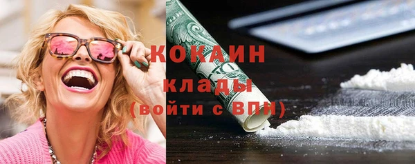 ГАЛЛЮЦИНОГЕННЫЕ ГРИБЫ Арсеньев