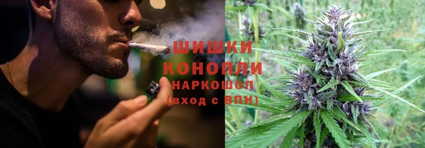 ГАЛЛЮЦИНОГЕННЫЕ ГРИБЫ Арсеньев